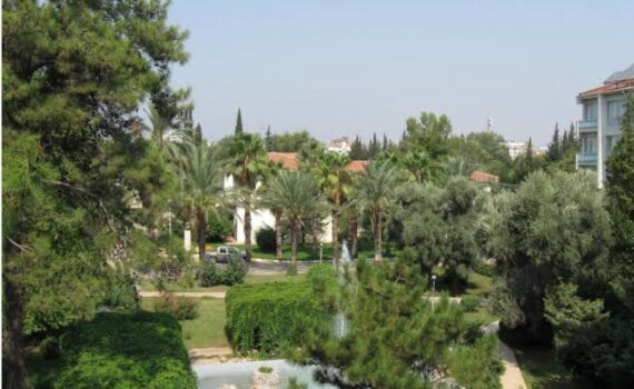 WhatsApp Image 2025-03-13 at 00.58.58